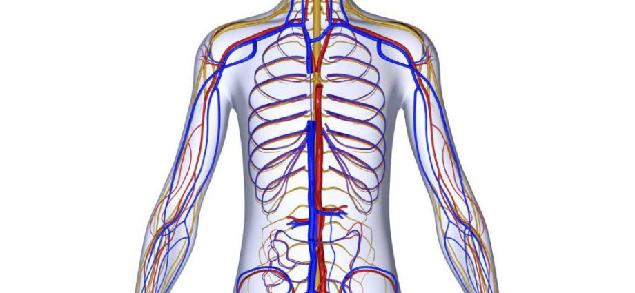 Bones may play a role in the development of diabetes