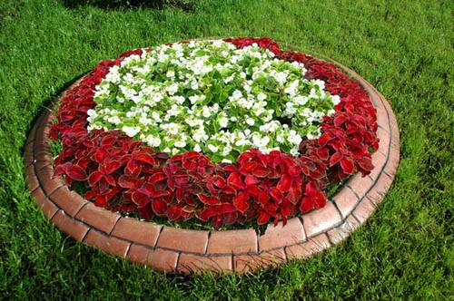 Borders for flower beds: types of materials, manufacturing methods