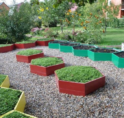 Borders for flower beds: types of materials, manufacturing methods