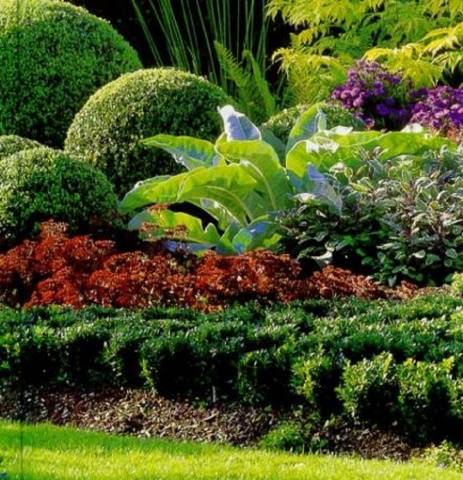 Borders for flower beds: types of materials, manufacturing methods