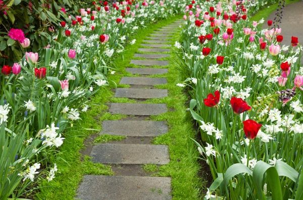 Borders for garden paths (made of stone, polymer tape, improvised materials): installation methods + photos of ready-made solutions