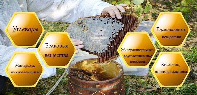 Bort honey: composition, value, description, useful properties + how to take and store bee honey, definition of counterfeit