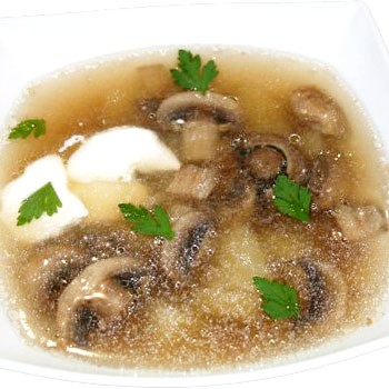 Bouillon recipes from porcini mushrooms