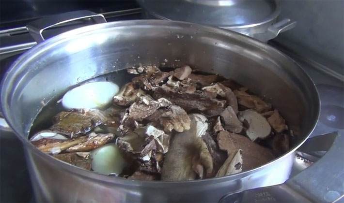 Bouillon recipes from porcini mushrooms