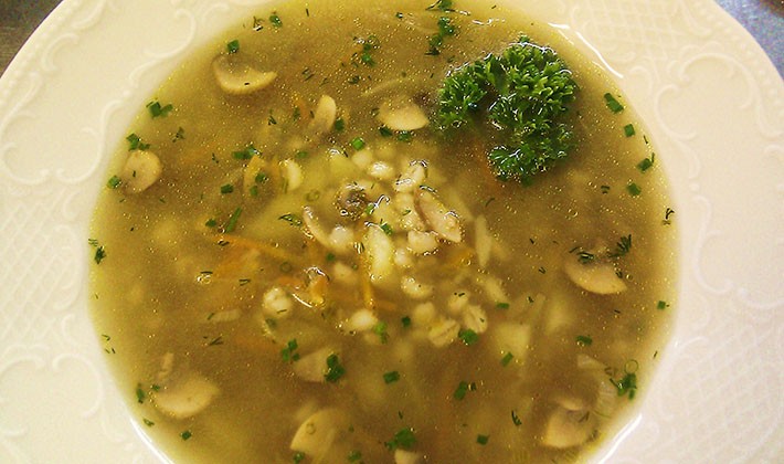 Bouillon recipes from porcini mushrooms