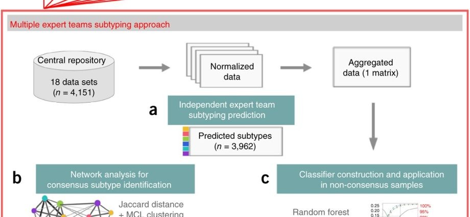 Bowel cancer detectable by molecular oncology