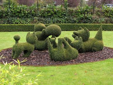 Boxwood shearing in spring and autumn