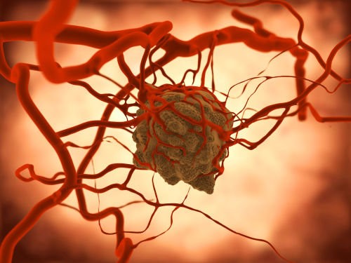 Brain cancer cells can turn into blood vessels