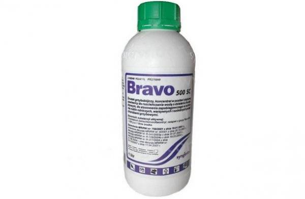 Bravo fungicide