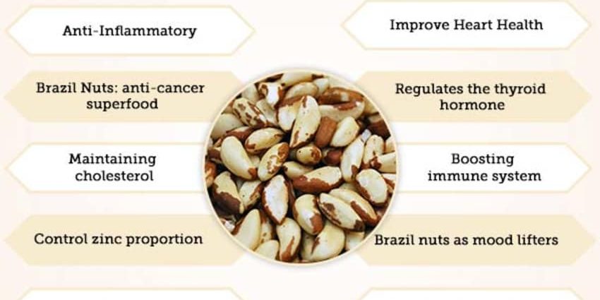 Brazil nuts &#8211; health properties, nutritional values, application