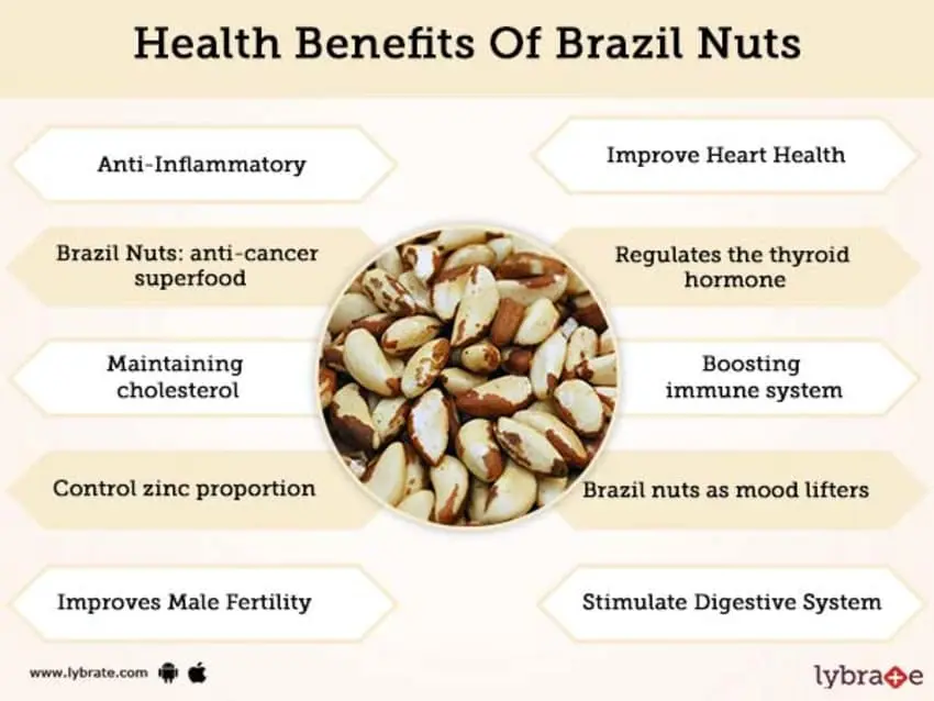 Brazil nuts &#8211; health properties, nutritional values, application