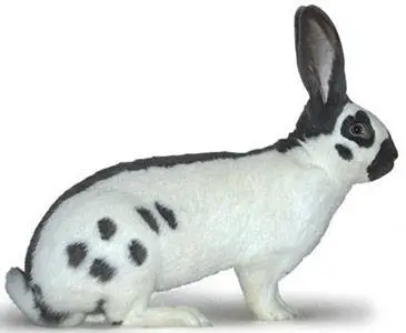 Breeds of rabbits for home breeding: characteristics + photo