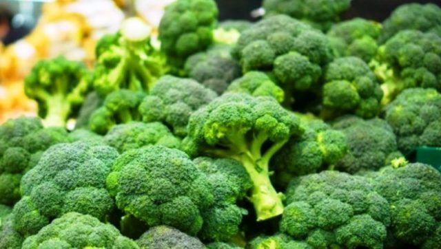 Broccoli cabbage: benefits and harms, medicinal properties, composition