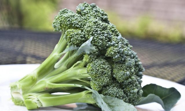 Broccoli cabbage: benefits and harms, medicinal properties, composition