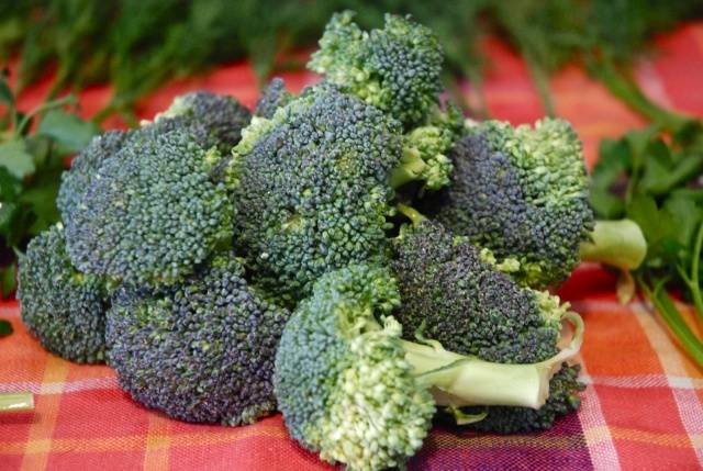 Broccoli cabbage: cleaning and storage