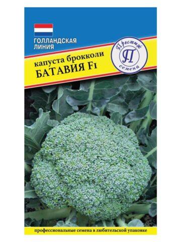 Broccoli cabbage: the best varieties for central Our Country and the Moscow region