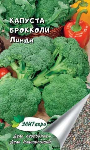 Broccoli cabbage: the best varieties for central Our Country and the Moscow region