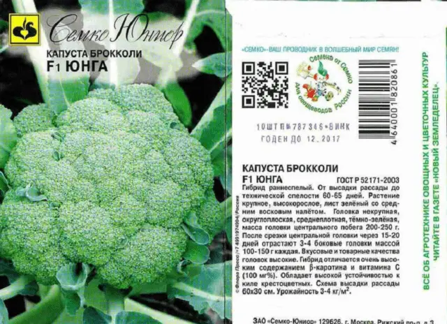 Broccoli cabbage: the best varieties for central Our Country and the Moscow region