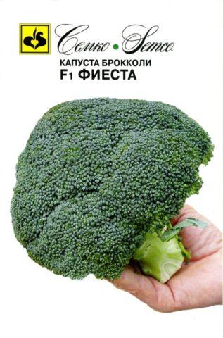 Broccoli cabbage: the best varieties for central Our Country and the Moscow region