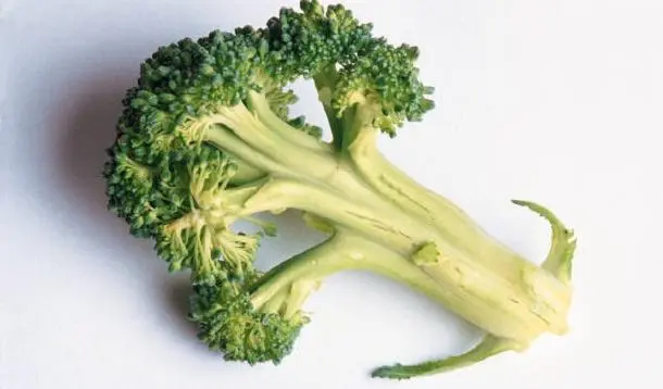 Broccoli can protect your joints