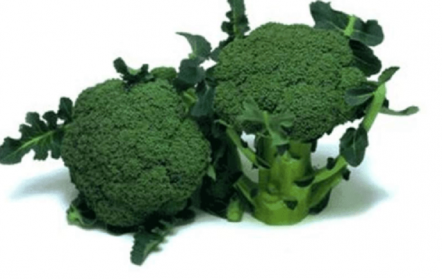 Broccoli for Siberia: the best varieties, is it possible to grow