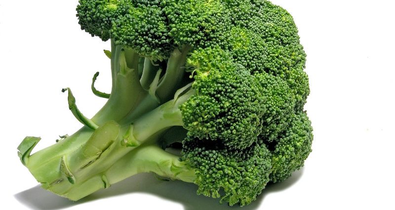 Broccoli protects the articular cartilage