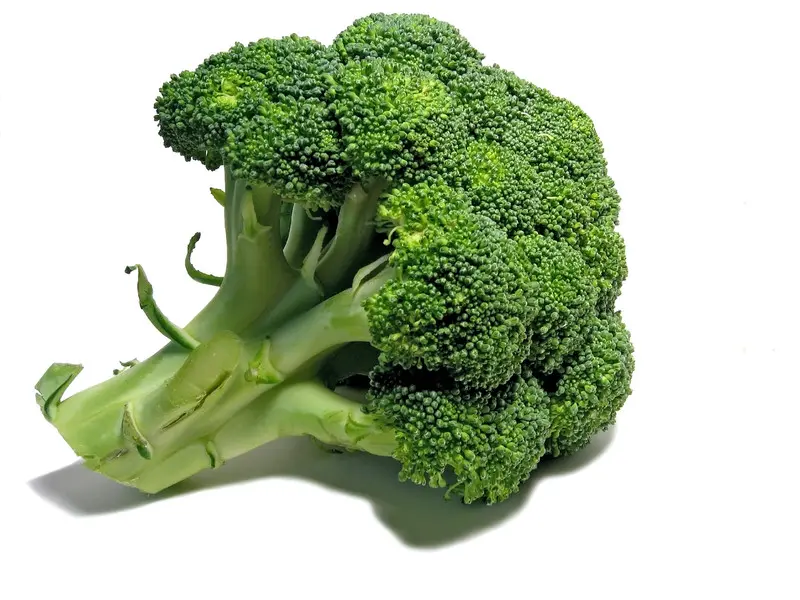 Broccoli protects the articular cartilage