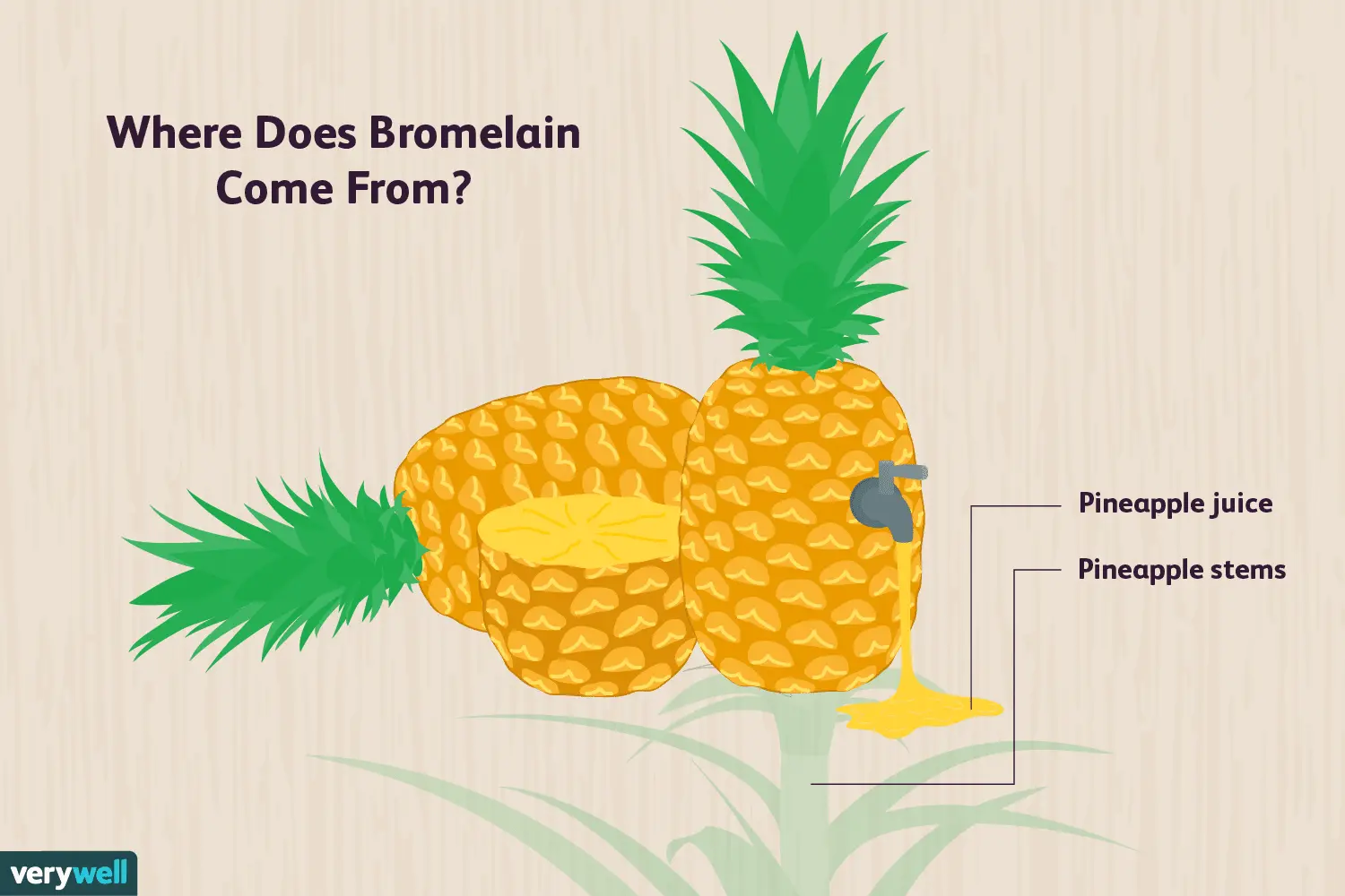 Bromelain &#8211; what is it?