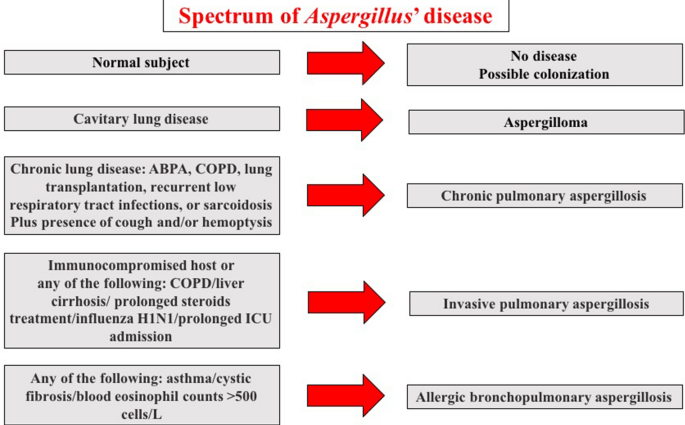 Bronchopulmonary aspergillosis &#8211; symptoms, diagnosis, treatment