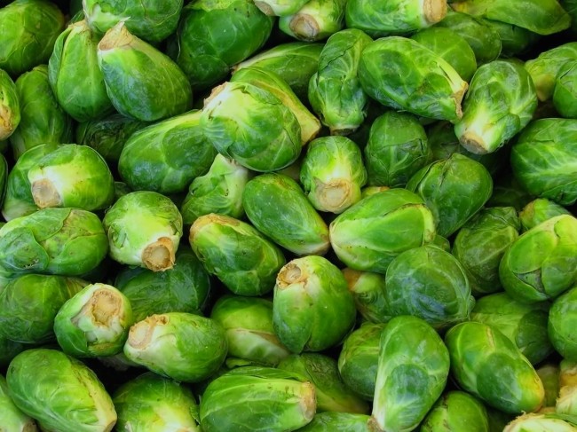 Brussels sprouts: growing and care with video