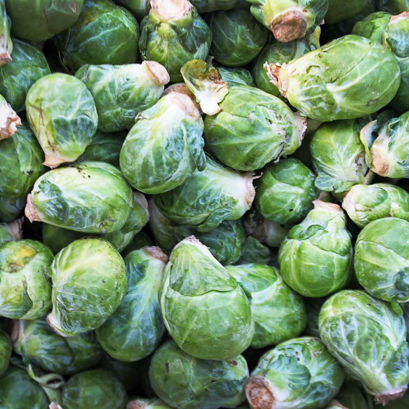 Brussels sprouts: growing and care with video