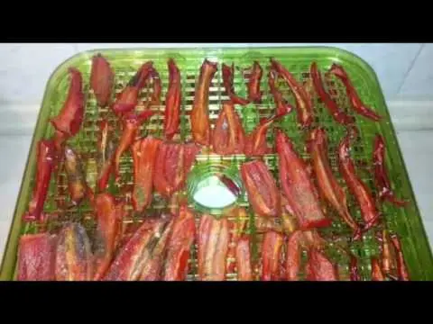 Bulgarian dried peppers in oil for the winter: the best recipes in the oven, in the dryer, in the microwave