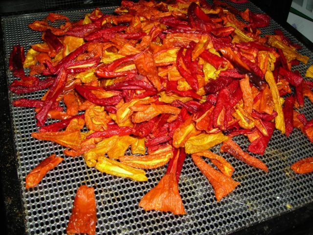 Bulgarian dried peppers in oil for the winter: the best recipes in the oven, in the dryer, in the microwave