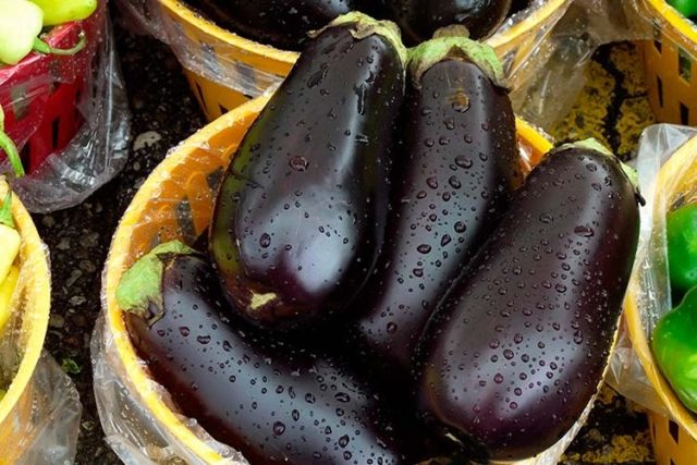 Bulgarian eggplant: recipes for the winter