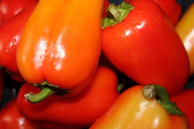 Bulgarian lecho on tomato juice for the winter