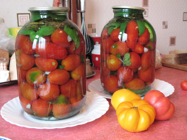 Bulgarian tomatoes: 5 recipes for the winter