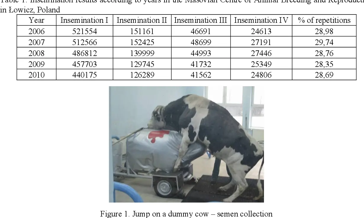 Bull inseminator: photo and selection rules