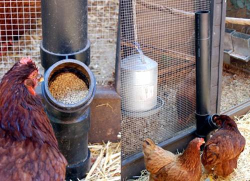 Bunker feeders for chickens