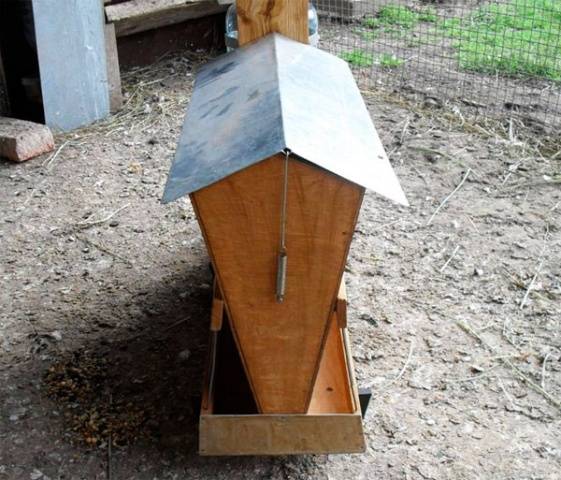 Bunker feeders for chickens