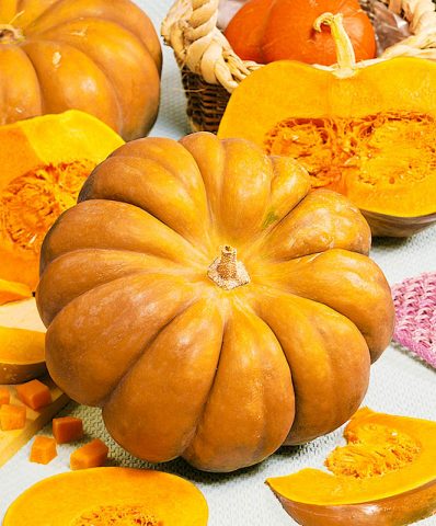 Bush pumpkin: varieties with descriptions and photos, reviews