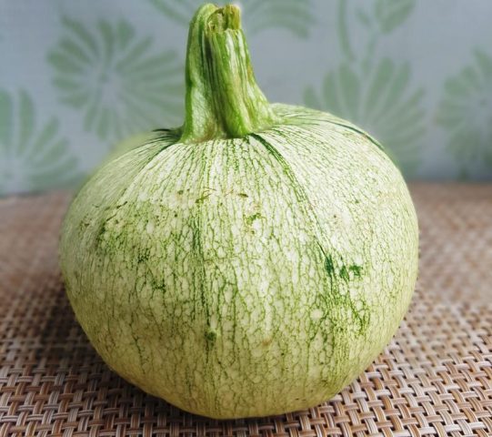 Bush pumpkin: varieties with descriptions and photos, reviews