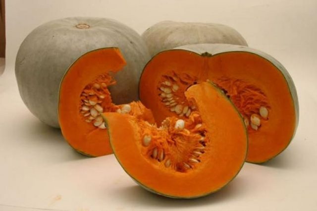 Bush pumpkin: varieties with descriptions and photos, reviews