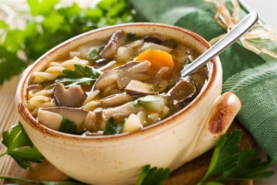 Butter mushroom soup: 28 delicious step-by-step recipes with photos from fresh, frozen, dried and pickled mushrooms