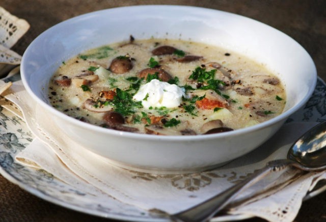 Butter mushroom soup: 28 delicious step-by-step recipes with photos from fresh, frozen, dried and pickled mushrooms