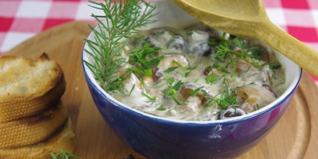 Butter mushroom soup: 28 delicious step-by-step recipes with photos from fresh, frozen, dried and pickled mushrooms