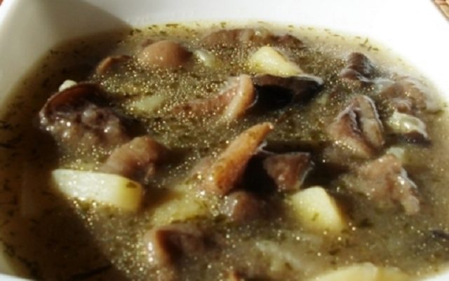 Butter mushroom soup: 28 delicious step-by-step recipes with photos from fresh, frozen, dried and pickled mushrooms