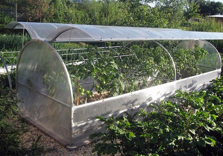 Butterfly greenhouse made of polycarbonate: construction instructions