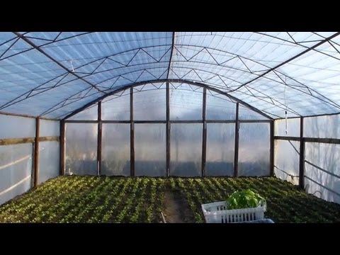 Butterfly greenhouse made of polycarbonate: construction instructions