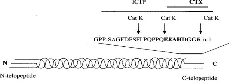 C-terminal telopeptide of type I collagen (ICTP)