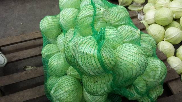 Cabbage Ankoma